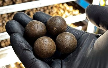 Бойли на карпа: склад, помилки і чому домашній бойл – це складніше, ніж здається