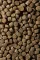 PELLETS, TIGERNUT, Розчинні, 10мм — фото 3